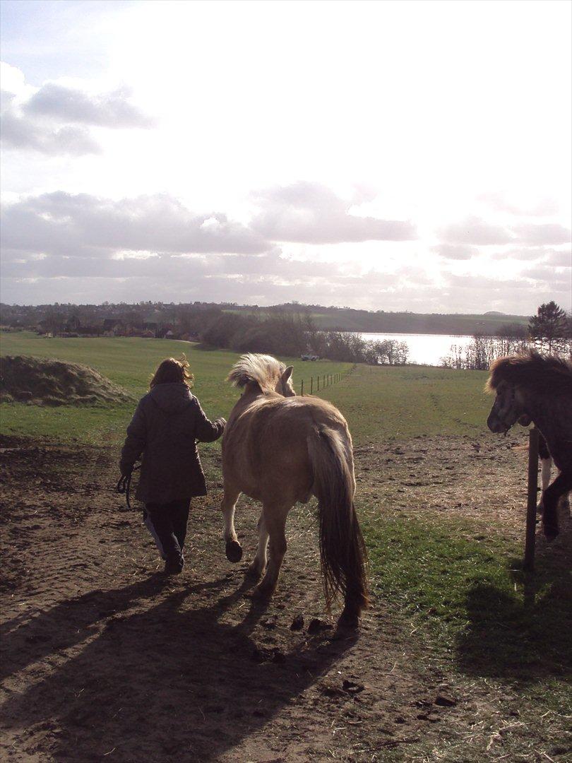 den sidste tid med riki OBS,der kan forkomme stærke billeder billede 18