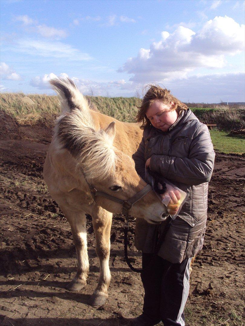 den sidste tid med riki OBS,der kan forkomme stærke billeder billede 19