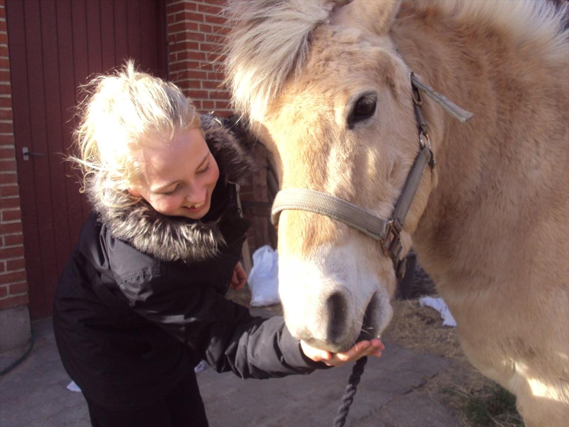 den sidste tid med riki OBS,der kan forkomme stærke billeder billede 20