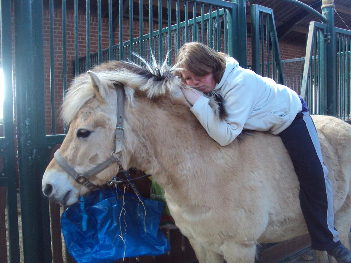 den sidste tid med riki OBS,der kan forkomme stærke billeder - et par min før billede 22