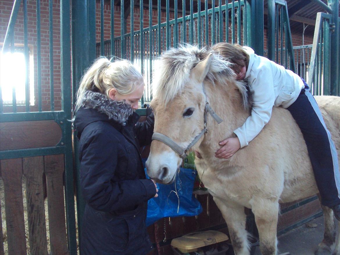 den sidste tid med riki OBS,der kan forkomme stærke billeder billede 23