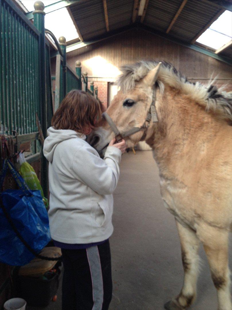 den sidste tid med riki OBS,der kan forkomme stærke billeder billede 24