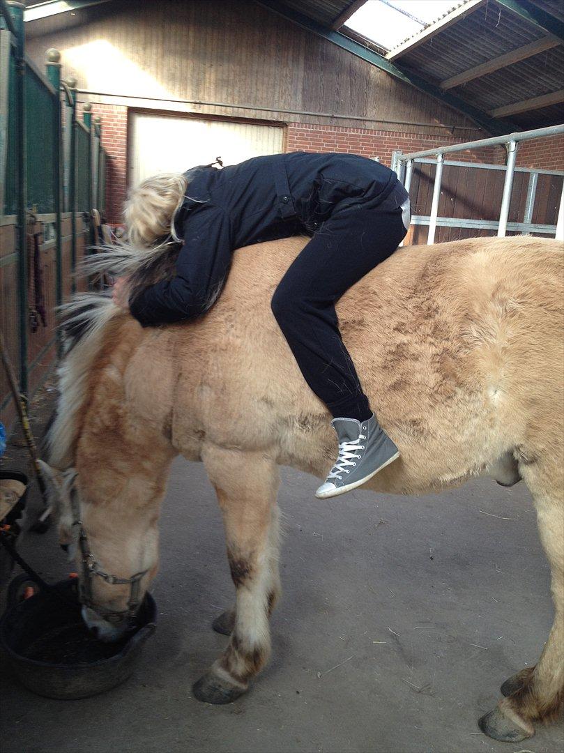 den sidste tid med riki OBS,der kan forkomme stærke billeder - anne og riki  billede 25