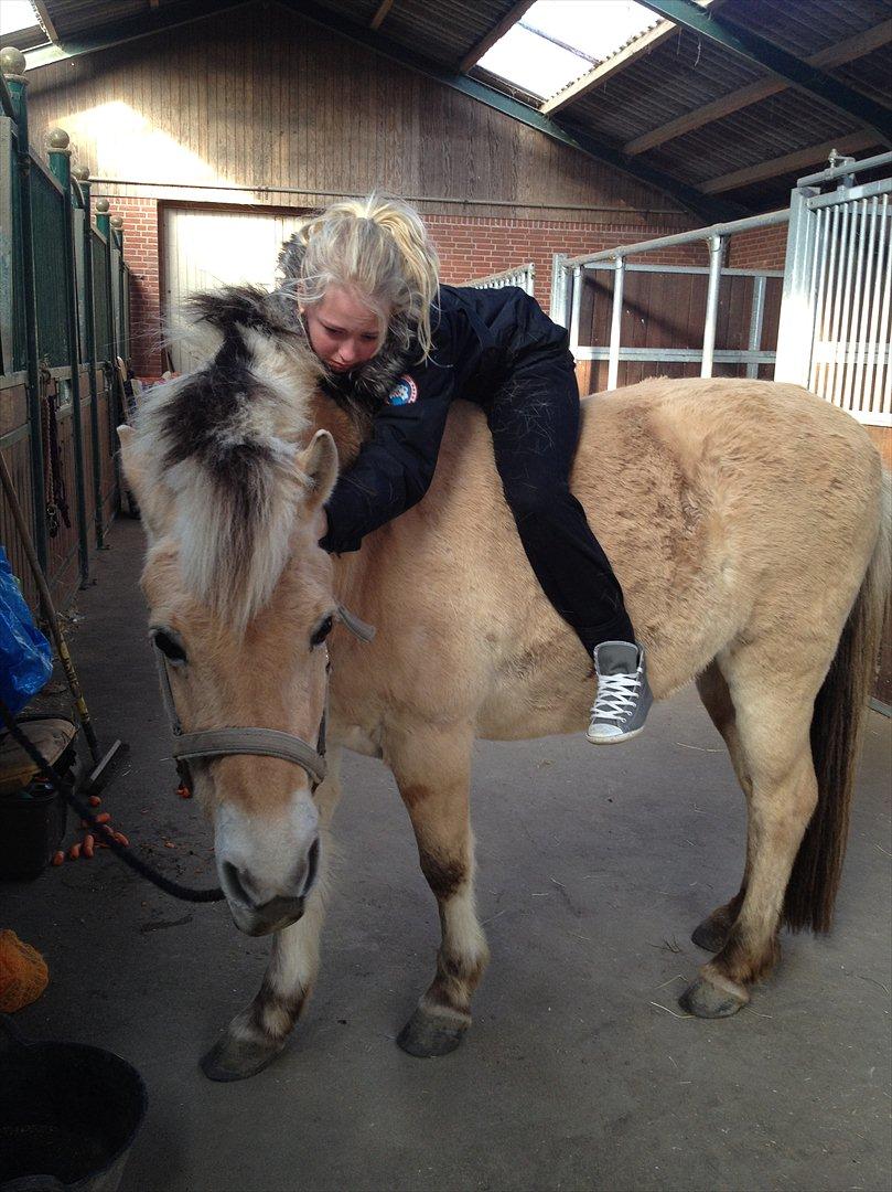 den sidste tid med riki OBS,der kan forkomme stærke billeder billede 26