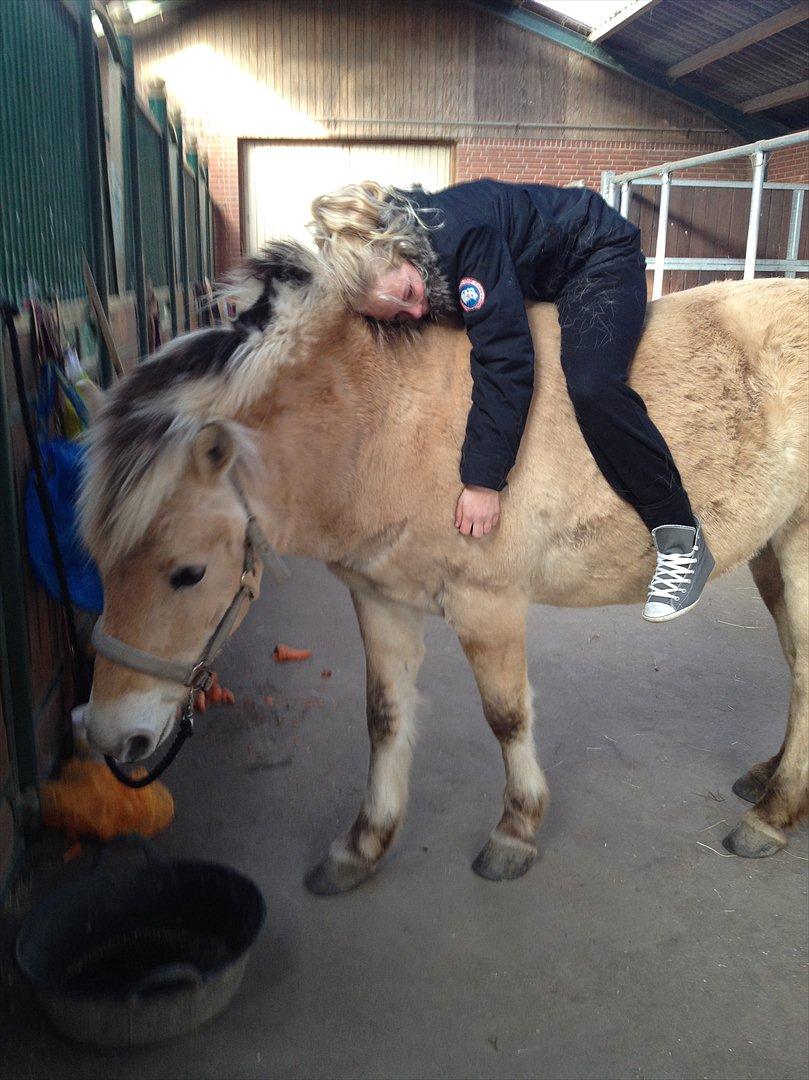 den sidste tid med riki OBS,der kan forkomme stærke billeder billede 27