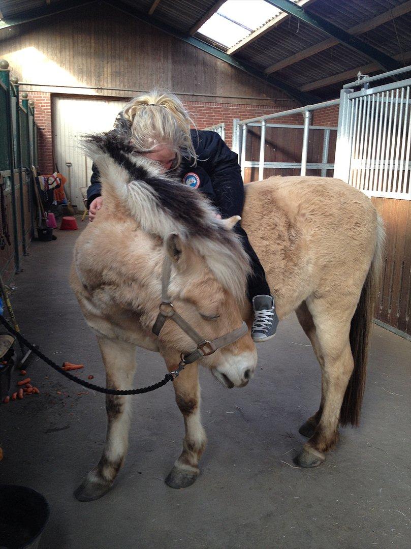 den sidste tid med riki OBS,der kan forkomme stærke billeder billede 28