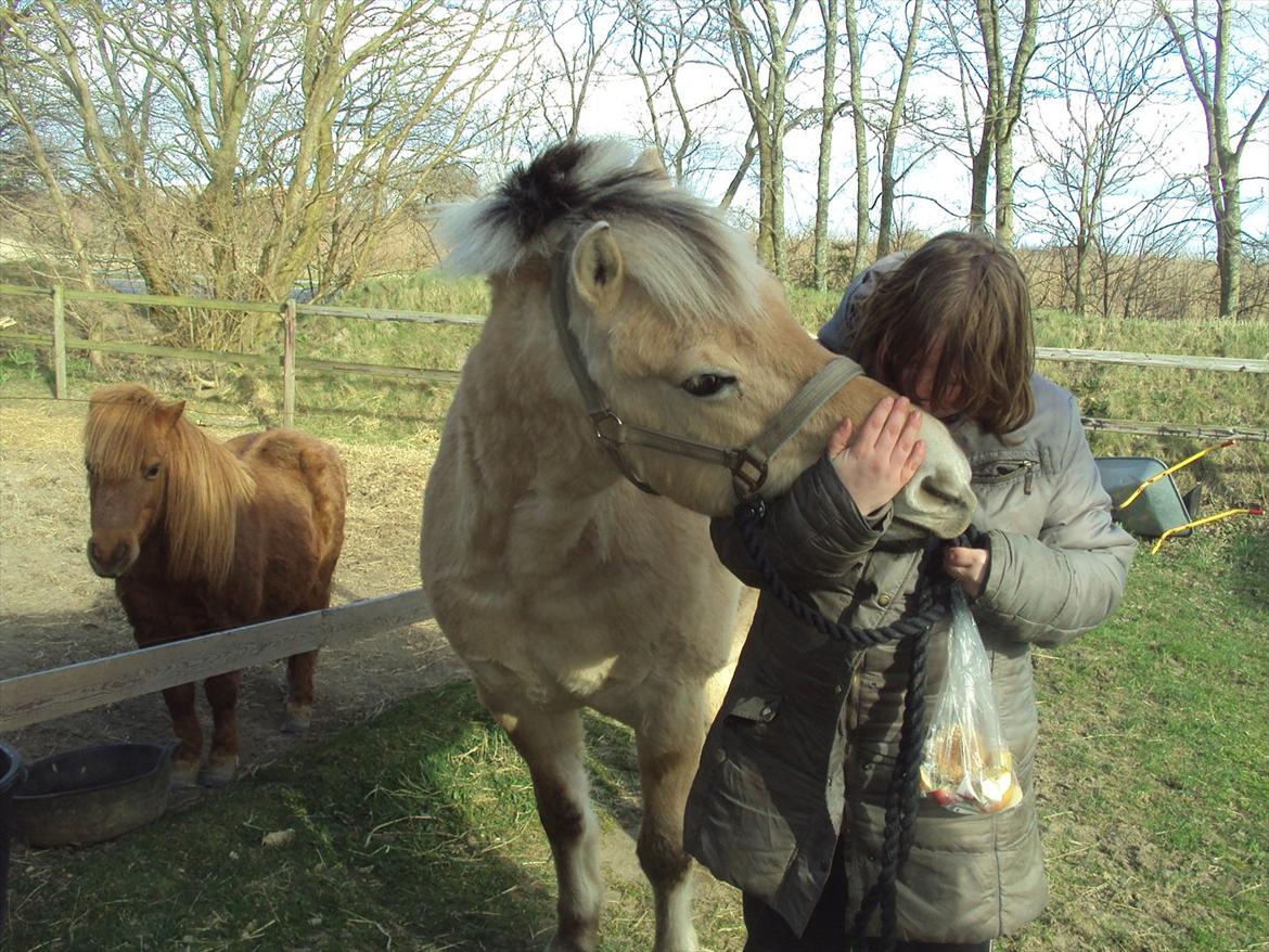 den sidste tid med riki OBS,der kan forkomme stærke billeder billede 30