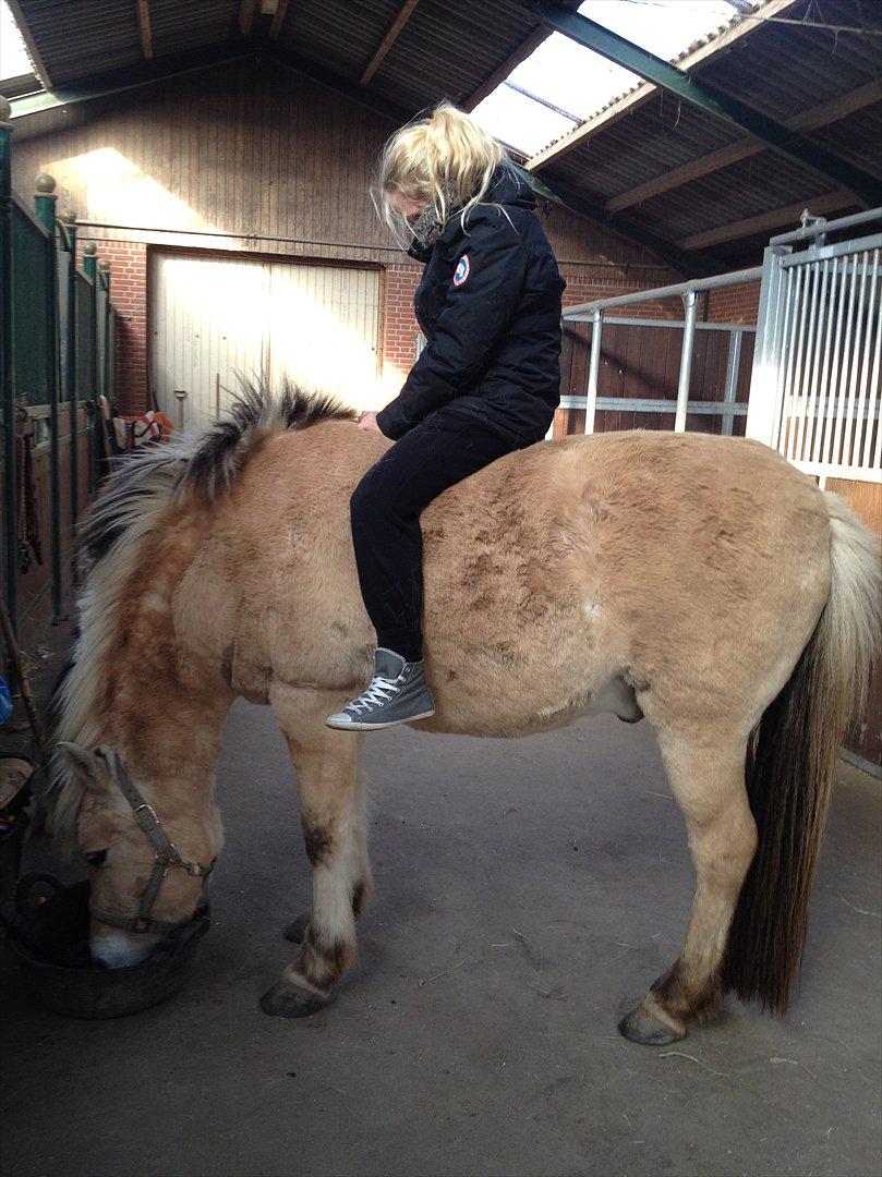 den sidste tid med riki OBS,der kan forkomme stærke billeder billede 31