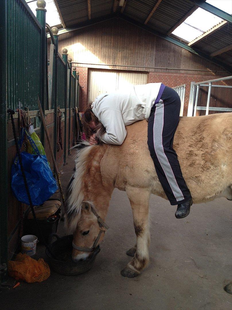 den sidste tid med riki OBS,der kan forkomme stærke billeder billede 33