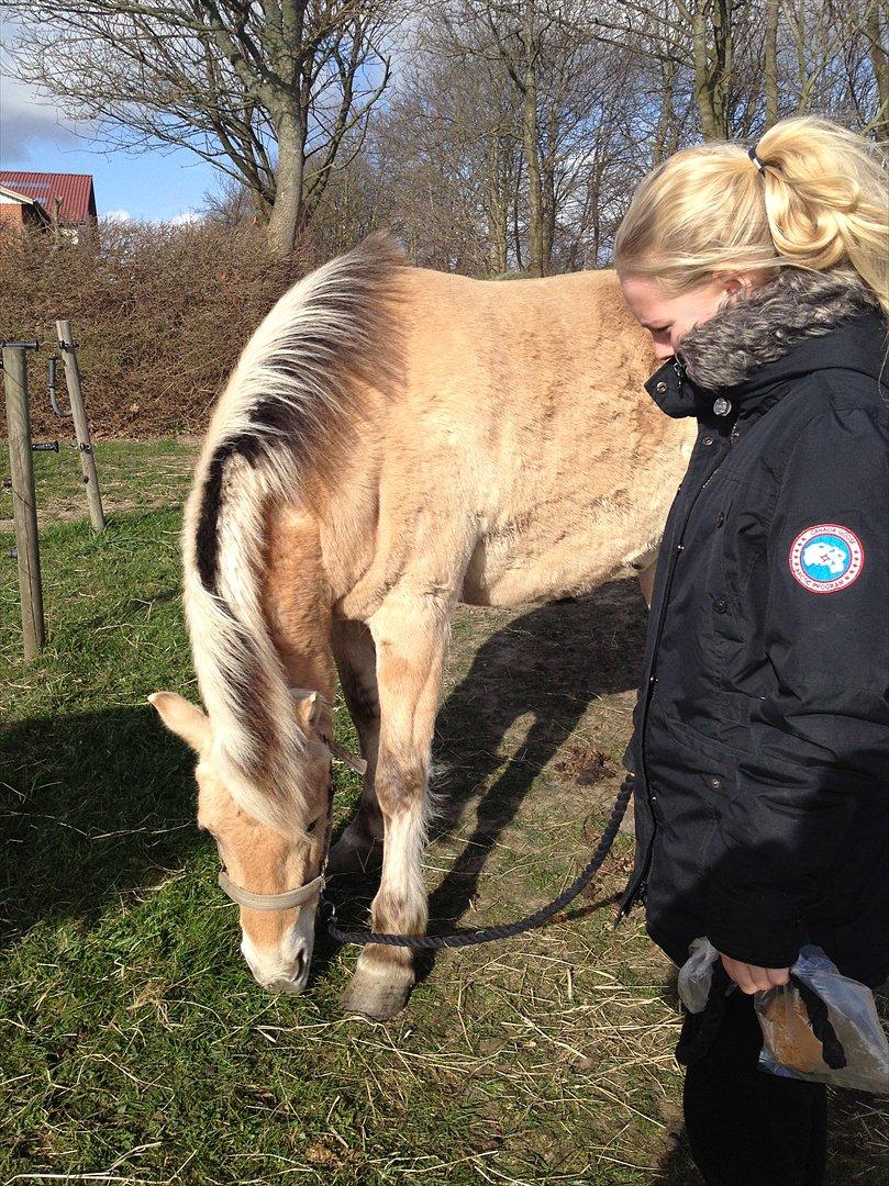 den sidste tid med riki OBS,der kan forkomme stærke billeder billede 34