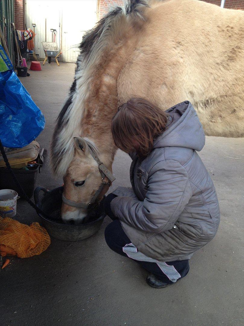 den sidste tid med riki OBS,der kan forkomme stærke billeder billede 35