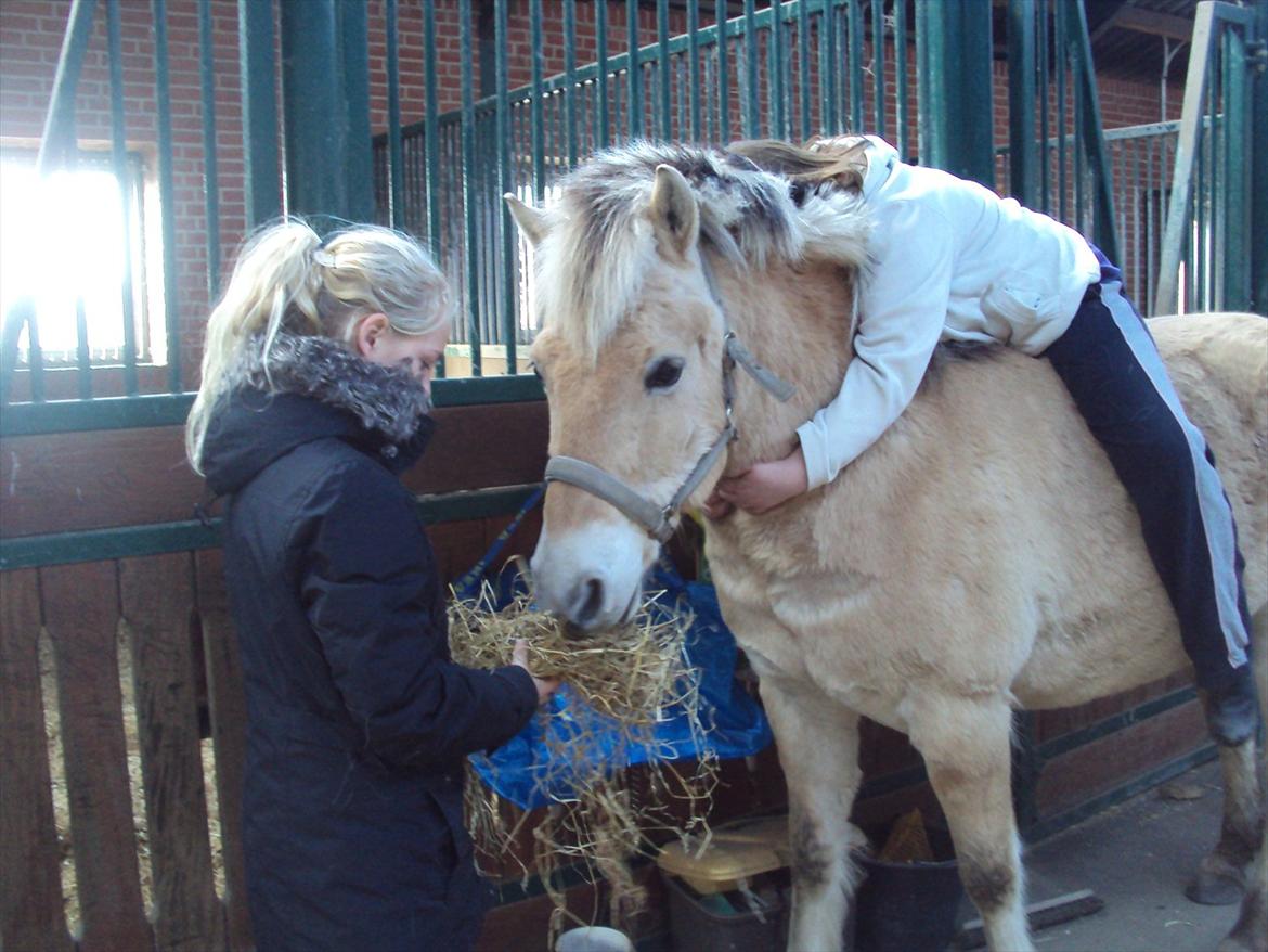 den sidste tid med riki OBS,der kan forkomme stærke billeder billede 36