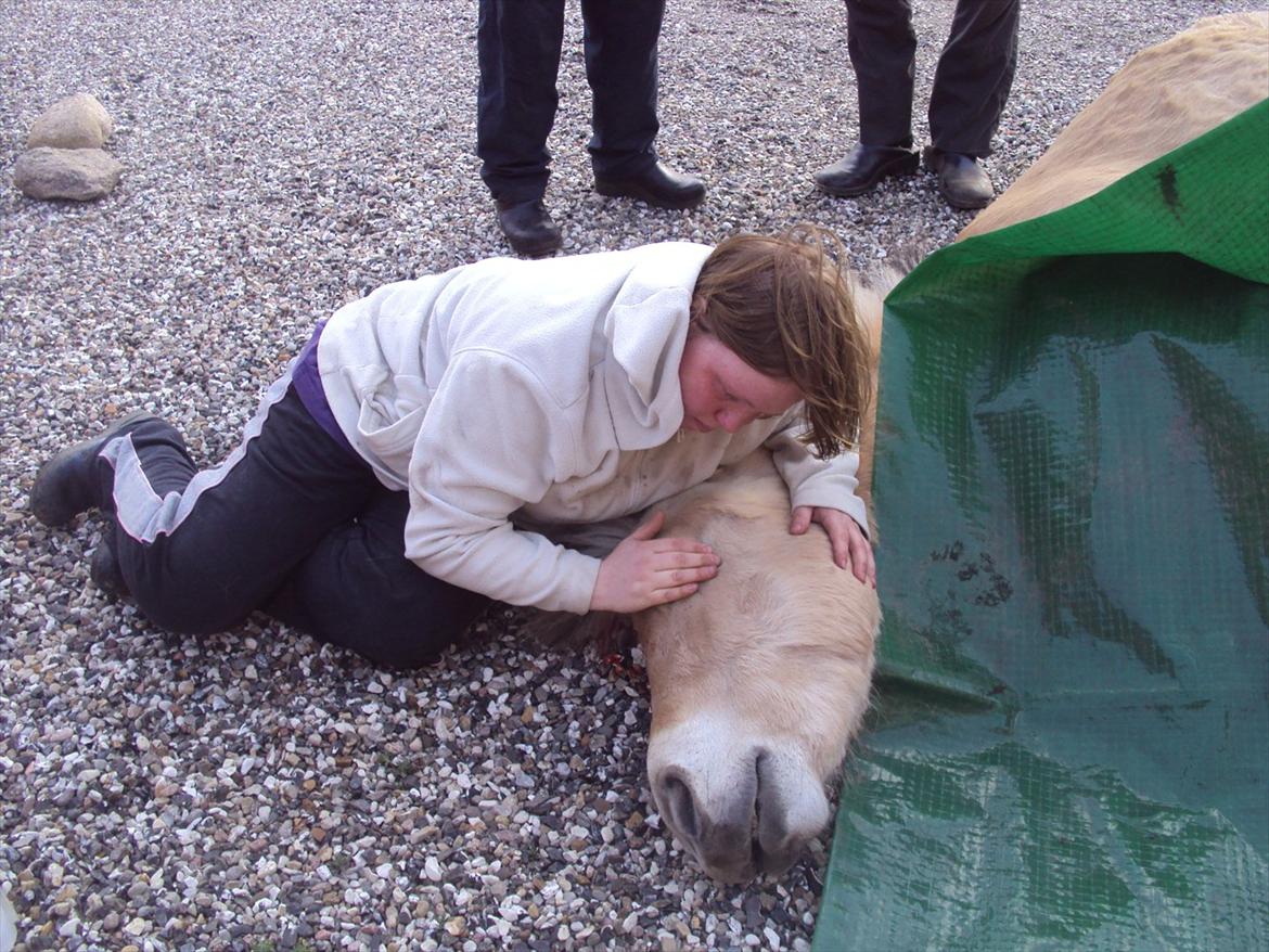 den sidste tid med riki OBS,der kan forkomme stærke billeder billede 37