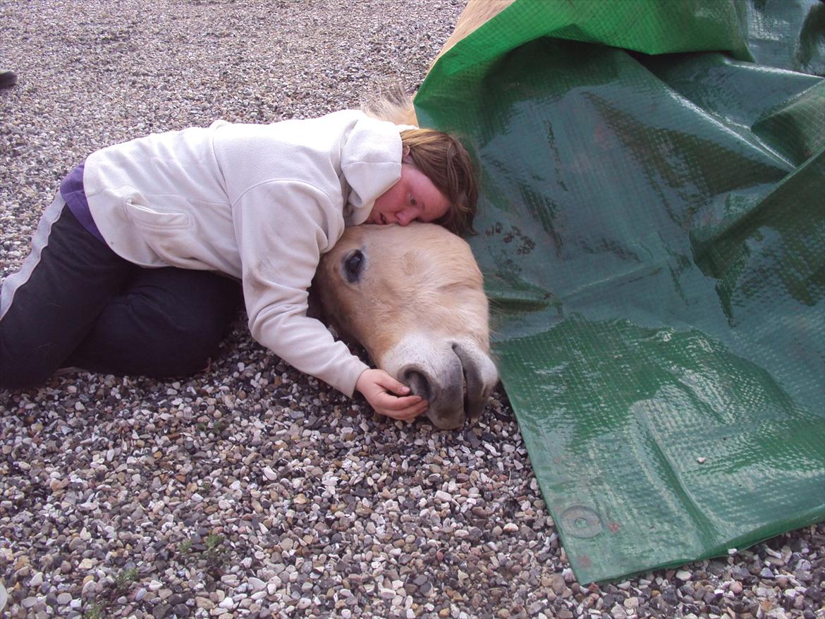 den sidste tid med riki OBS,der kan forkomme stærke billeder - min lille dreng til slut:((((((((((((((((((((((((((((((((((((((((((((:( billede 38