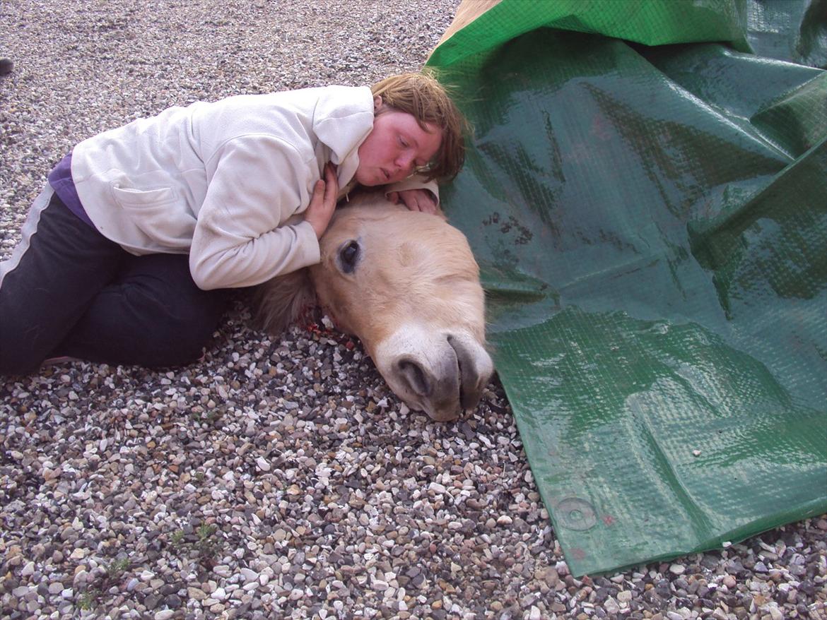 den sidste tid med riki OBS,der kan forkomme stærke billeder billede 39