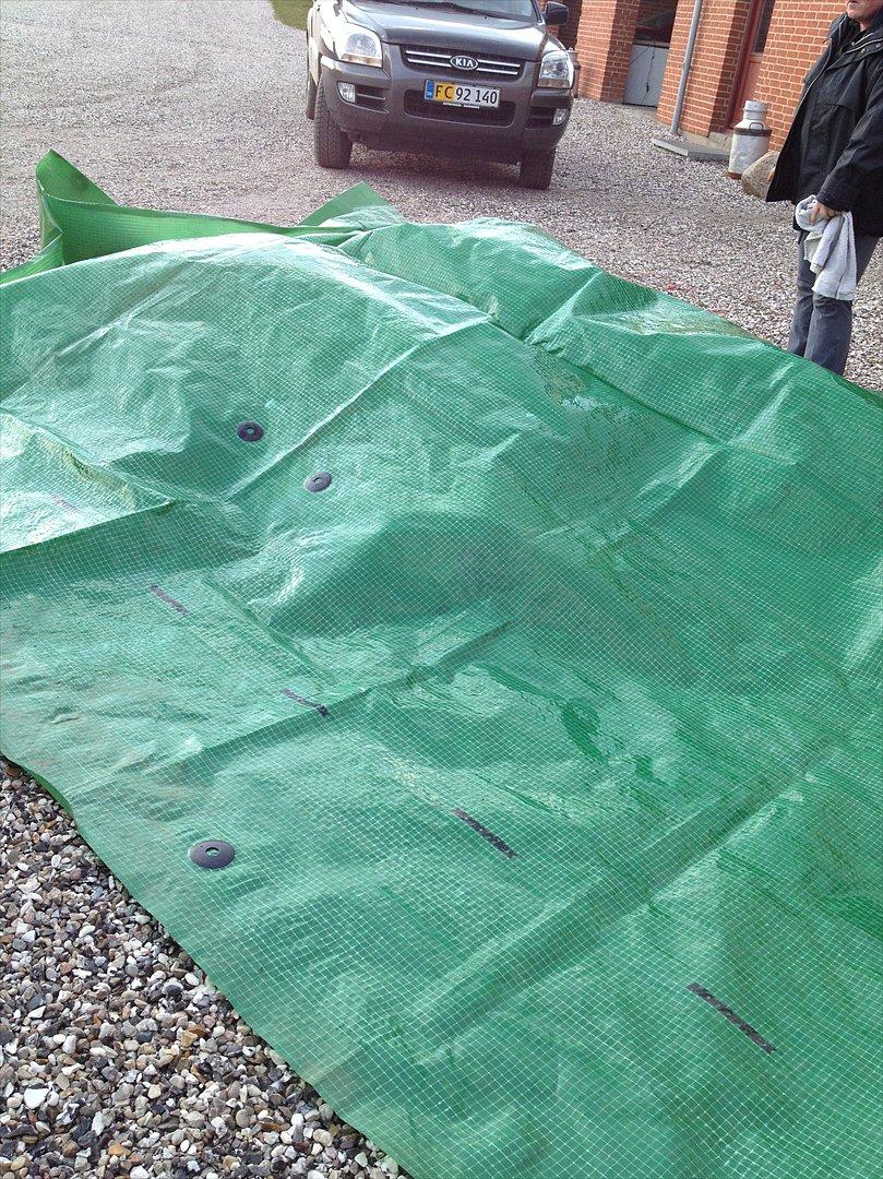 den sidste tid med riki OBS,der kan forkomme stærke billeder - farvel riki dreng:(((((((((((((((((( billede 42