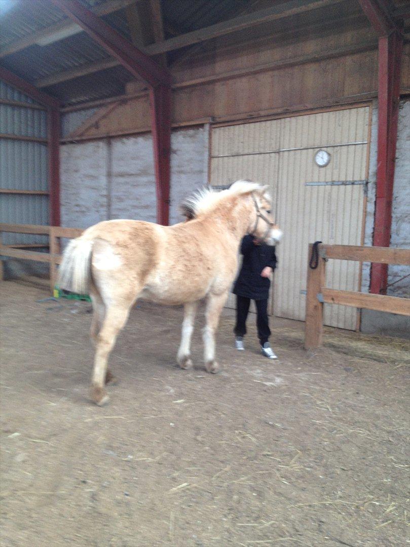 den sidste tid med riki OBS,der kan forkomme stærke billeder billede 2