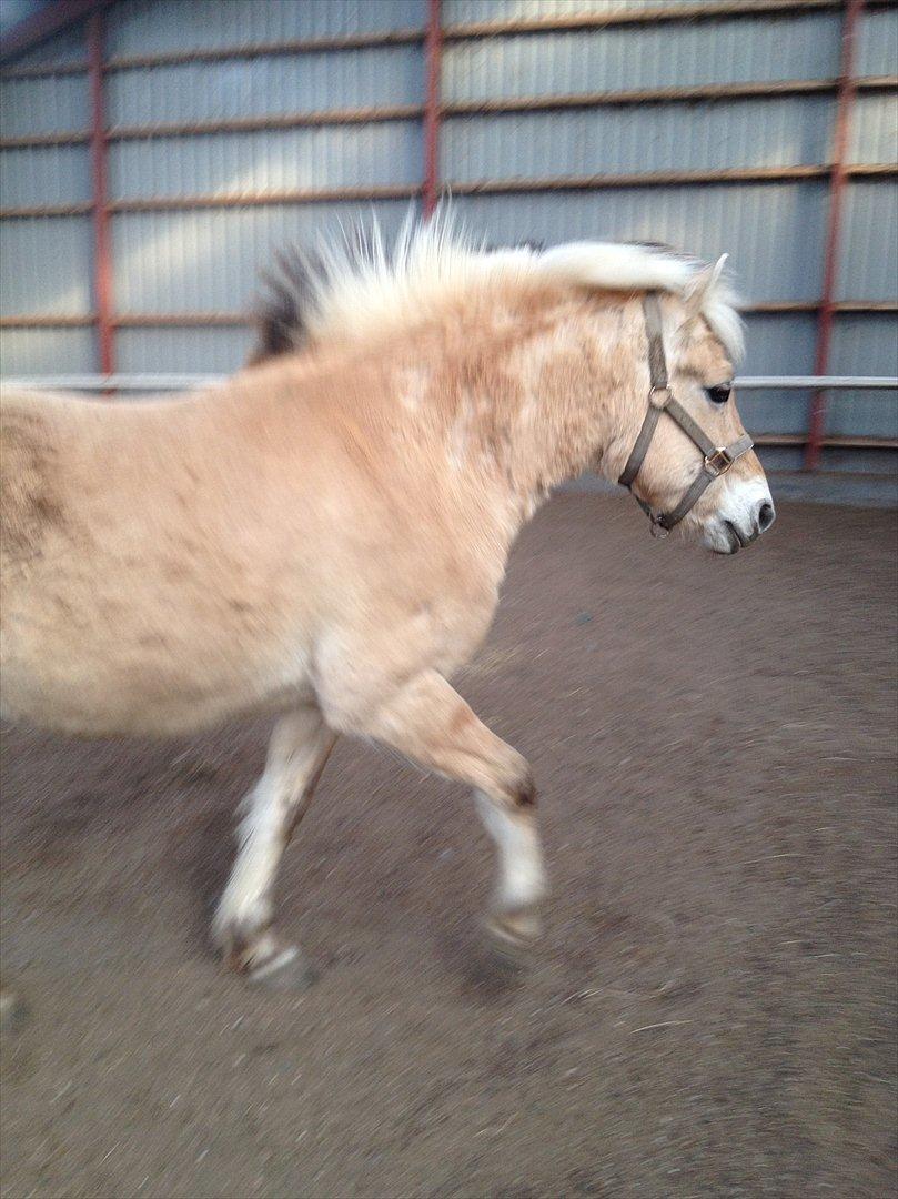 den sidste tid med riki OBS,der kan forkomme stærke billeder billede 1