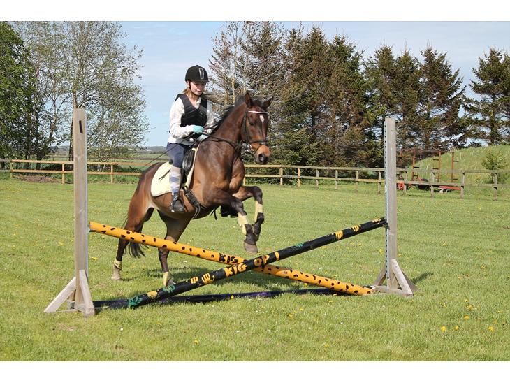 {{currentPhoto.altText}} billede {{currentPhoto.number}}