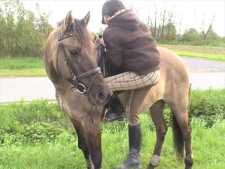 Hygger med Lorell. billede 2