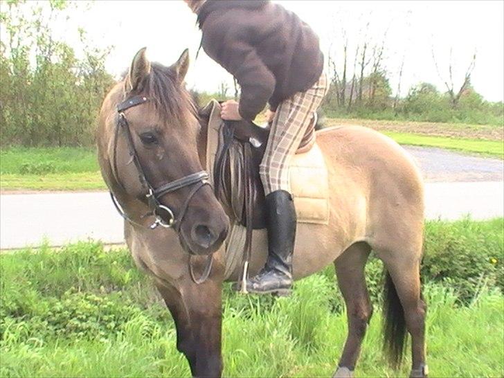 Hygger med Lorell. billede 3