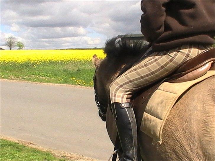 Hygger med Lorell. billede 4