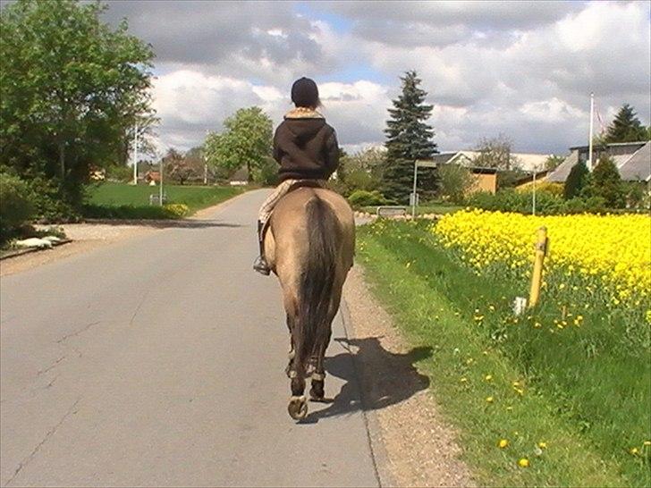 Hygger med Lorell. billede 5