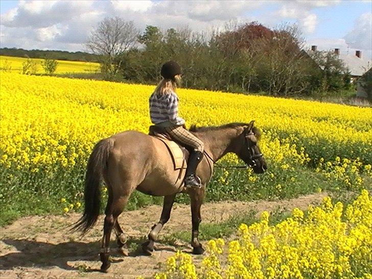 Hygger med Lorell. billede 6