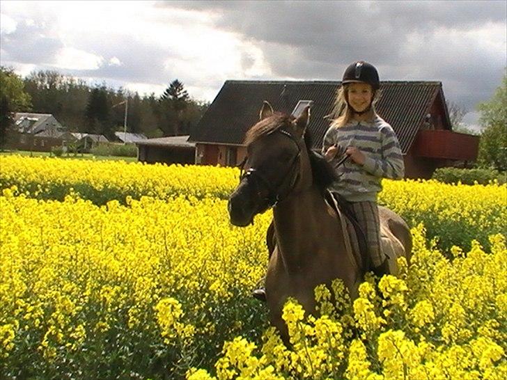 Hygger med Lorell. billede 7