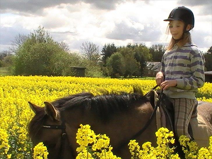 Hygger med Lorell. billede 8