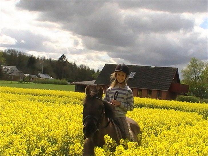 Hygger med Lorell. billede 9