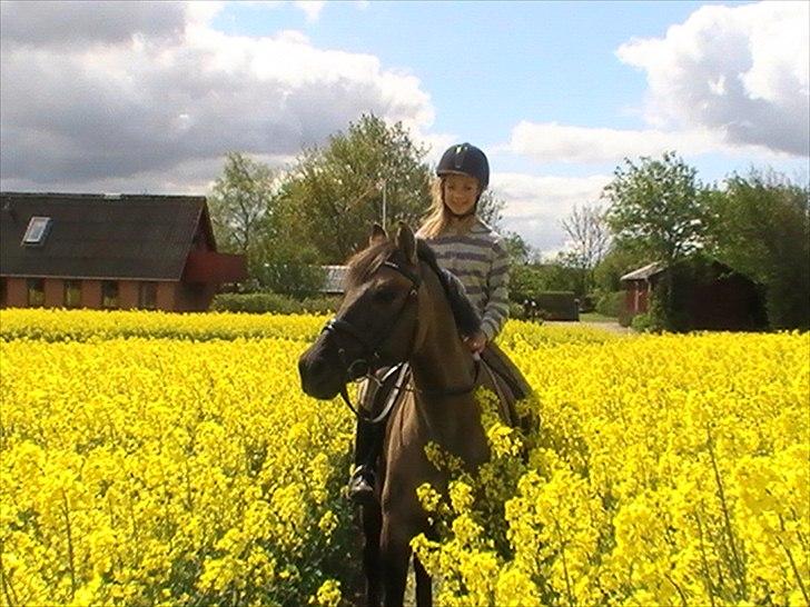 Hygger med Lorell. billede 10