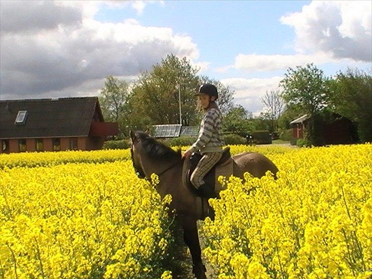 Hygger med Lorell. billede 11