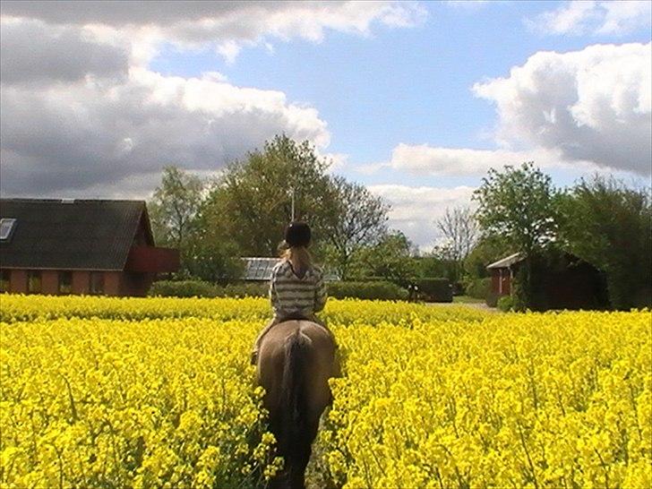 Hygger med Lorell. billede 12