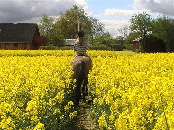 Hygger med Lorell. billede 13