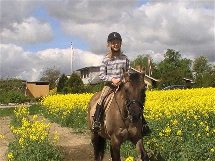 Hygger med Lorell. billede 14