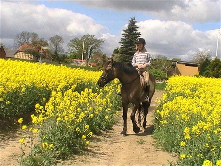 Hygger med Lorell. billede 15