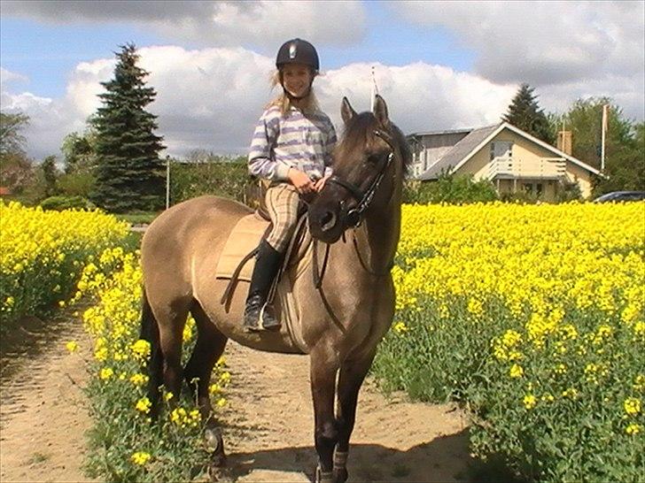 Hygger med Lorell. billede 17