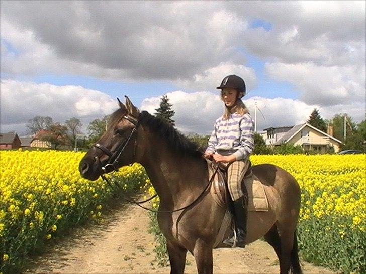 Hygger med Lorell. billede 21