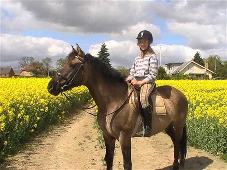 Hygger med Lorell. billede 22