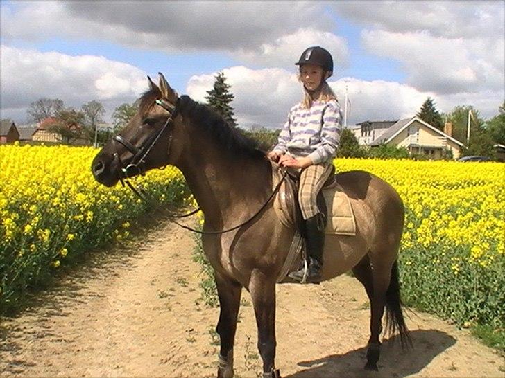 Hygger med Lorell. billede 23