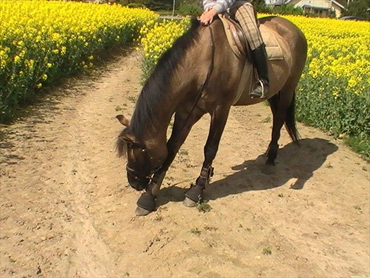 Hygger med Lorell. billede 25