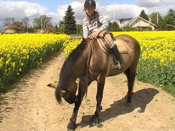 Hygger med Lorell. billede 26