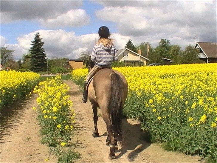 Hygger med Lorell. billede 27