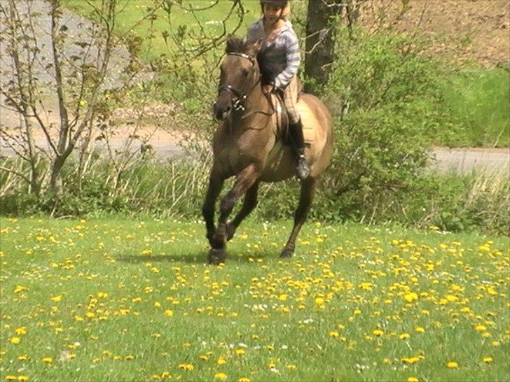 Hygger med Lorell. billede 31