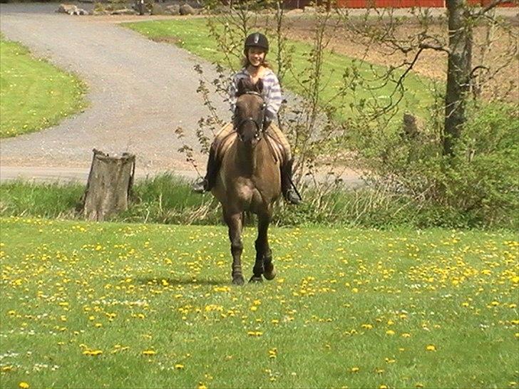 Hygger med Lorell. billede 32