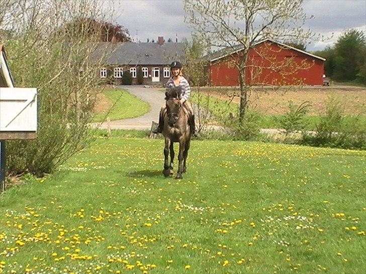 Hygger med Lorell. billede 33