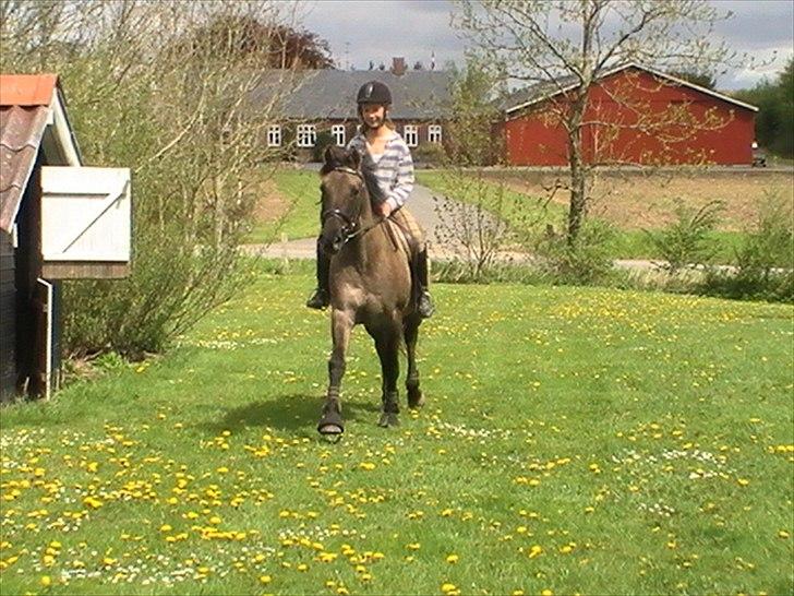 Hygger med Lorell. billede 34