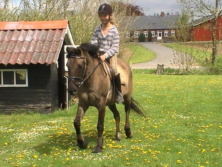 Hygger med Lorell. billede 35