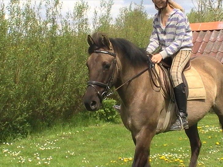 Hygger med Lorell. billede 36